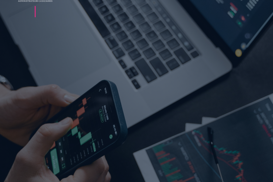CRYPTOMONNAIES ET PROCÉDURES COLLECTIVES : UN CASSE-TÊTE POUR LES ENTREPRISES ET LES TRIBUNAUX ?